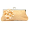 Fashion ladies Clutch bag/Coin Purse