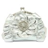 Fashion ladies Clutch bag/Coin Purse