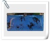 Fashion ladies wallet/purse WW-3