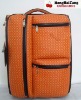 Fashion leather aluminum trolley case luggage