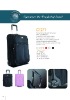 Fashion luggage(CT271)