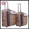 Fashion luggage case