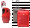 Fashion luggage case