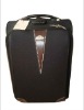 Fashion luggage set