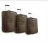 Fashion luggage set