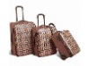 Fashion luggage set