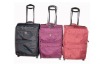 Fashion luggage set