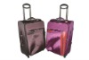 Fashion luggage set
