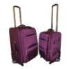 Fashion luggage set