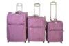 Fashion luggage set