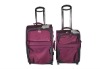 Fashion luggage set