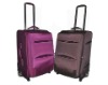 Fashion luggage set