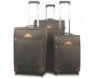 Fashion luggage set