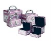 Fashion makeup cases