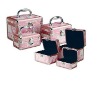 Fashion makeup cases