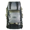 Fashion perfect bags backpack of dacron 600d