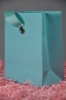 Fashion pp tote bag with ribbon handle