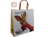 Fashion pp woven bag