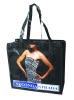 Fashion pp woven zipper bag