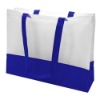 Fashion shopping bag