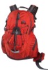 Fashion sports backpack