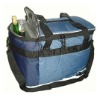 Fashion style thermal bag (s11-cb042)
