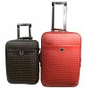Fashion trolley case