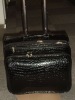 Fashion trolley luggage(CPT0612)