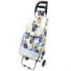 Fashion trolley shopping bags