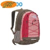 Fashionable Backpack