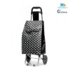 Fashionable Reusable Folding Shopping Trolley Bag
