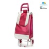 Fashionable and Reusable Grocery Trolley Bag