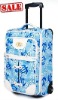 Fashionable business luggage C-010