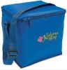 Fashionable folding 420D cooler box