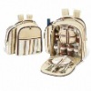 Fashionable picnic bag backpack