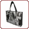 Fashionable promotion bag