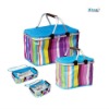 Fashionable stripe folding cooler bags,picnic basket