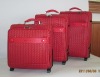 Fashionble and Durable Trolley Bags