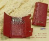 Fasnhion red key case