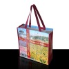 Fasnionable Coated PP Shopping Bag