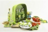 Fation Picnic Bag