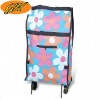 Foldable Travel Trolley Case
