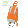 Foldable travel Shopping trolley bag