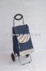 Foldable trolley shopper