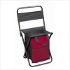 Folding Chair with Cooler Bag