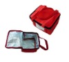 Folding Cooler Bag