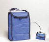 Folding Cooler Bag