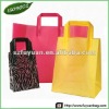 Folding Shopping Non Woven Bag (ISO9001,SGS)