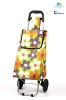 Folding Supermarket Cart With Colorful Blossom