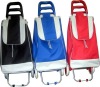 Folding shopping trolley bags